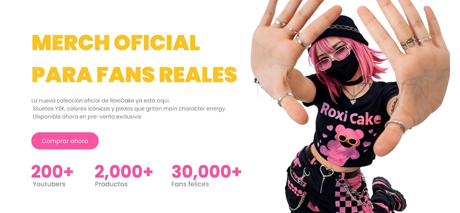 ROXICAKE SIMULACIÓN PANEL (1)